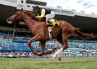 Messi wins the 2016 Sky Classic Stakes at Woodbine