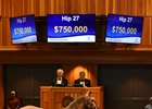 China Horse Club Buys Tapit Colt for $750,000 China Horse Club Buys Tapit Colt for $750,000