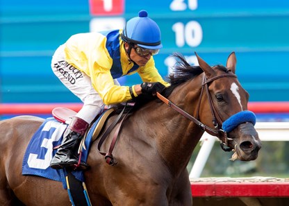 Vale Dori wins the 2016 Tranquility Lake Stakes