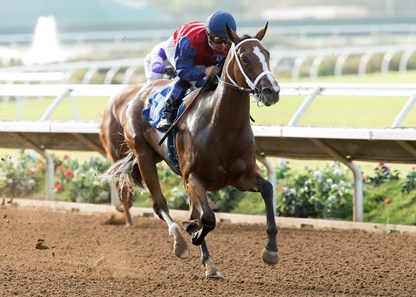 Miss Sunset wins the 2016 Generous Portion Stakes