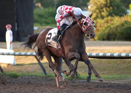 Opportunistic Winning the Sir Winston Churhill Derby Trial at Hasting's Racecourse August 22, 2016