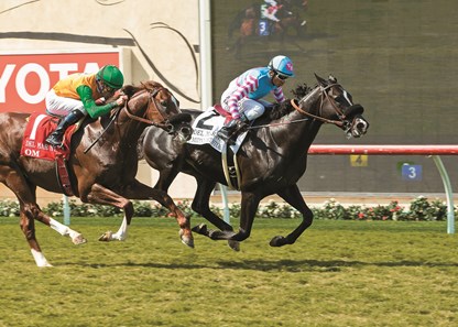 Midnight Storm and jockey Rafael Bejarano, right, overpower Om (Gary Stevens), left, to win the Grade II, $200,000 Del Mar Mile, Sunday, August 21, 2016 at Del Mar Thoroughbred Club, Del Mar CA.
© BENOIT PHOTO