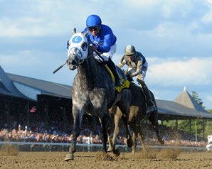 Frosted Dazzles in Whitney