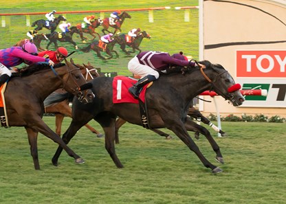 So Sweetitiz wins the 2016 Daisycutter Handicap.
