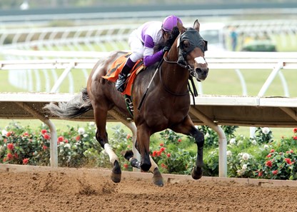 Green With Eddie wins the 2016 Graduation Stakes.