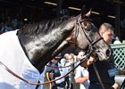 Flintshire Rolls Into Joe Hirsch Turf Classic Flintshire Rolls Into Joe Hirsch Turf Classic