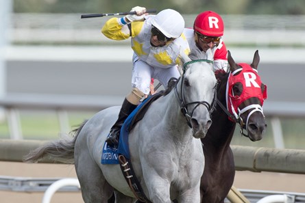 Camp Creek wins Breeders' Stakes Aug. 21 at Woodbine