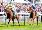Postponed takes the Juddmonte International
