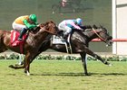 Midnight Storm wins the Del Mar Mile