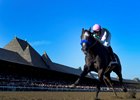Arrogate won last year's Travers Stakes, highlight of the Saratoga Race Course season that opens July 21