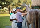 The OBS August Sale