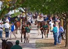 The Keeneland September Sale