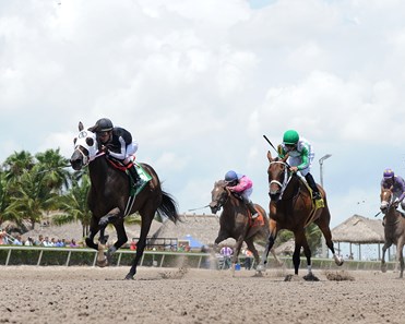 R Kinsley Doll wins the 2016 Florida Sire Three Ring Stakes.