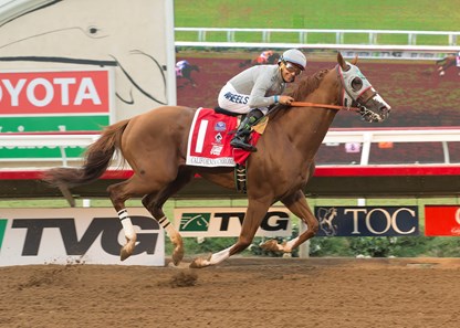 California Chrome wins the 2016 Pacific Classic