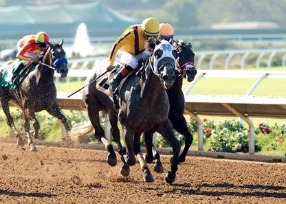 Tara's Tango wins the 2016 Rancho Bernardo Handicap