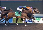 Sarah Sis Gate to Wire in PID Masters Sarah Sis Gate to Wire in PID Masters
