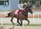 Super Jockey Dominant in Korea Sprint Super Jockey Dominant in Korea Sprint