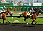 West Coast Indy comes home strong to become the first winner for Northern Indy