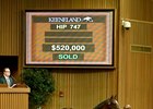 Hip 747, a colt by Paynter, brought $520,000.