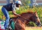 California Chrome