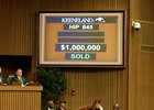 Hip 845, a Curlin colt out of Glinda the Good was a $1 million dollar purchase by