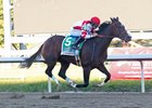 Songbird rolls to another win in the Cotillion