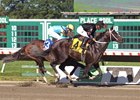 First Black-Type Winners for Tapizar, Dominus First Black-Type Winners for Tapizar, Dominus