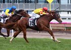 Palentino upsets Black Heart Bart in the Makybe Diva Stakes