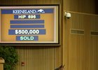 WinStar Acquires More Than Ready Colt WinStar Acquires More Than Ready Colt