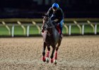 Tepin Trains Well on Woodbine Tapeta