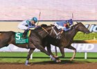 Texas Chrome Pointing to Dirt Mile Texas Chrome Pointing to Dirt Mile