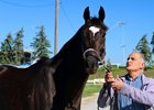 Trainer Sid Attard and former claimer Glenville Gardens
