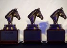 TOBA National Awards Dinner 2016 TOBA National Awards Dinner 2016