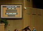 Havre de Grace's Son a $1.9 Million RNA