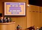 Hip 454, a half brother to champion Beholder and grade I-winning sire Into Mischief, brought $3 million Sept. 14