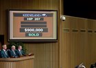Tapit Colt Lights Up Bid Board Early Tapit Colt Lights Up Bid Board Early