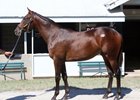 Hip 2418 by Violence