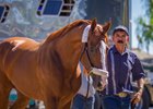California Chrome arrives at Santa Anita Park Sept. 25