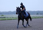 Servis Has Plan to Get Songbird With 'Sophia'