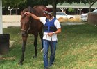 Runhappy Works from Gate in 1:14 1/5 Runhappy Works from Gate in 1:14 1/5