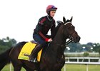 Exaggerator to Rest at WinStar Exaggerator to Rest at WinStar