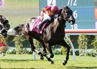 Avenge Aims for First Grade I in Rodeo Drive Avenge Aims for First Grade I in Rodeo Drive
