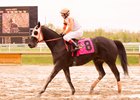 Ben's Cat Begins Training for 11-Year-Old Season Ben's Cat Begins Training for 11-Year-Old Season