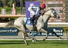Holy Lute and jockey Jamie Theriot win the second division of the 2016 Eddie D Stakes, Friday, September 30, 2016 at Santa Anita Park, Arcadia CA.