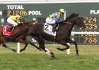 War Dancer winning the Sept. 10 PTHA President's Cup Stakes