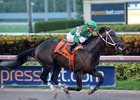 Three Rules stays undefeated with his fourth straight win