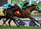 The Pizza Man All Class in Northern Dancer The Pizza Man All Class in Northern Dancer