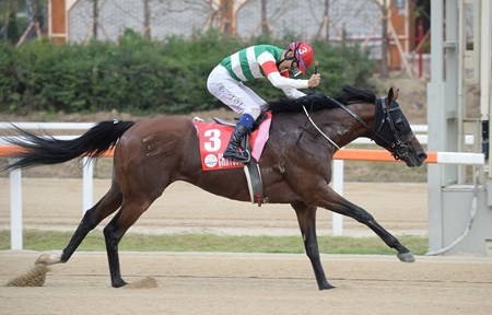 Chrysolite wins the Keeneland Korea Cup on Sept. 11, 2016.