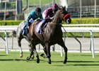 Ambitious Brew comes home strong to win the first division of the Eddie D. Stakes