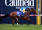 Black Heart Bart, Bon Aurum Win at Caulfield Black Heart Bart, Bon Aurum Win at Caulfield